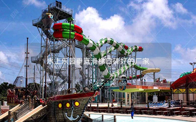 水上樂園垂直滑梯口碑好的廠家 水上樂園垂直滑梯口碑好的廠家